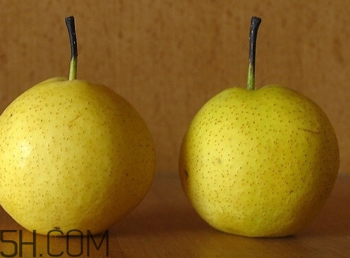 吃南果梨算酒駕嗎？南果梨什么時候最好吃