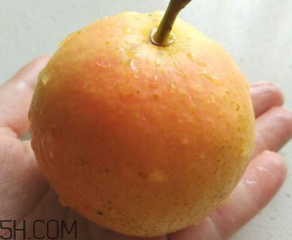 坐月子能吃南果梨嗎？糖尿病能不能吃南果梨