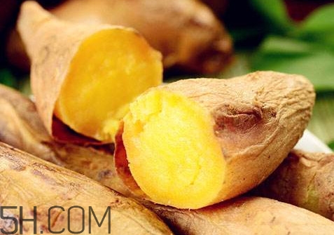 紅薯是蒸的好還是煮的好？紅薯是根還是莖