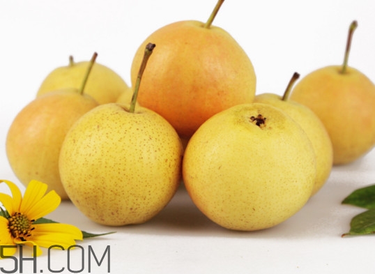 香水梨和南國梨有什么區(qū)別？南果梨怎么保存