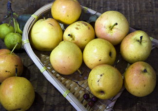 南果梨能止咳嗎？南果梨能放幾天