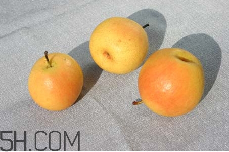 南果梨多少錢一斤 南果梨是香水梨嗎 南果梨多少錢一斤 南果梨是香水梨嗎