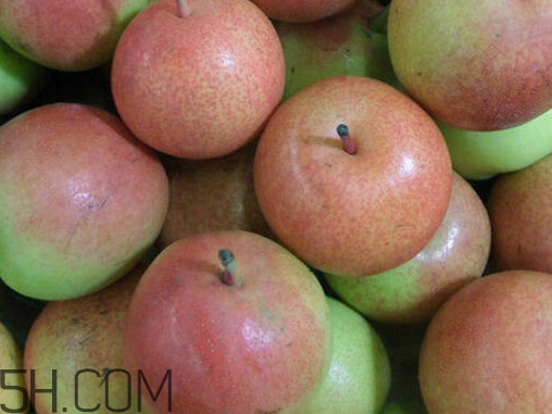 南果梨怎么變軟？南果梨怎么捂熟