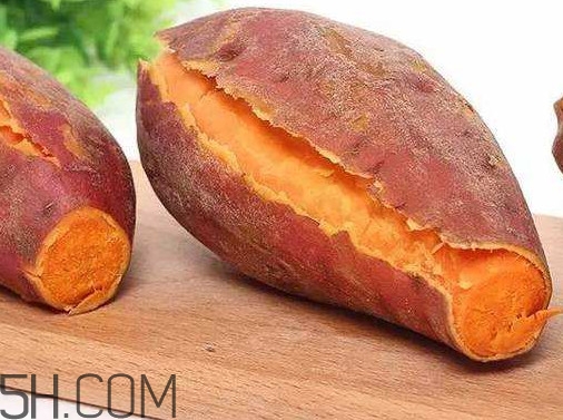 紅薯是蒸的好還是煮的好？紅薯是根還是莖