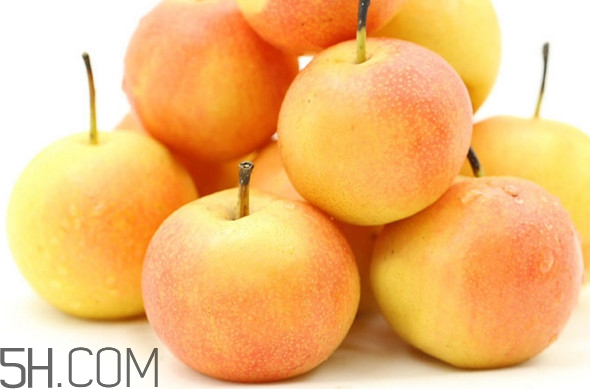 南果梨怎么儲(chǔ)藏？南果梨怎么吃好