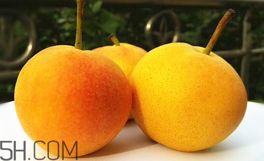 坐月子能吃南果梨嗎？糖尿病能不能吃南果梨