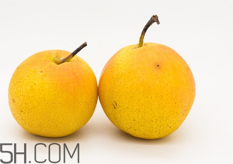 沒(méi)有熟透的南果梨能吃嗎？南果梨怎么做酒