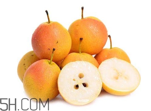 南果梨是寒性水果嗎？南果梨是涼性還是熱性