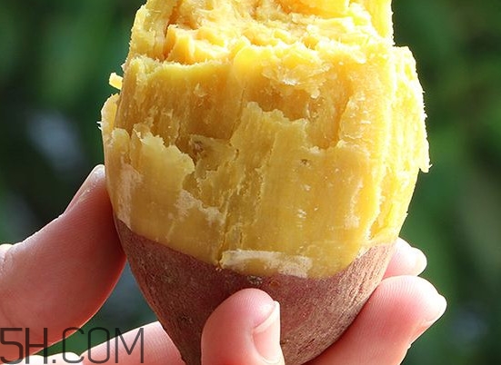 板栗紅薯能一起吃嗎？板栗紅薯哪里產(chǎn)的好吃