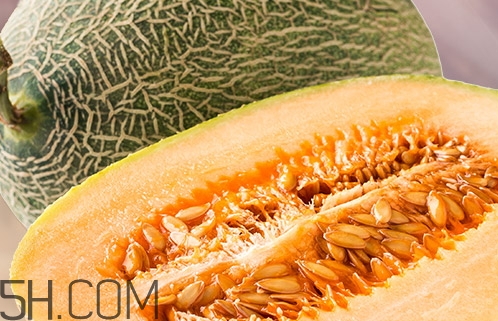 什么樣的哈密瓜才甜_怎么挑選甜的哈密瓜 什么樣的哈密瓜才甜_怎么挑選甜的哈密瓜