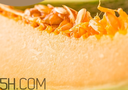 什么樣的哈密瓜才甜_怎么挑選甜的哈密瓜 什么樣的哈密瓜才甜_怎么挑選甜的哈密瓜