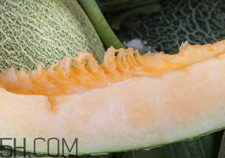 什么樣的哈密瓜才甜_怎么挑選甜的哈密瓜 什么樣的哈密瓜才甜_怎么挑選甜的哈密瓜