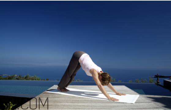 自學(xué)瑜伽從哪些體式入手？瑜伽能減肥嗎？