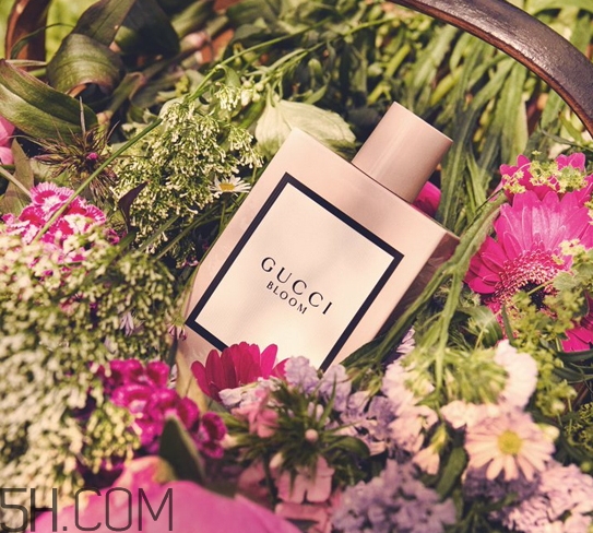 gucci bloom香水多少錢？gucci bloom香水專柜價格