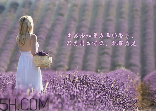 香柏樹(shù)薰衣草敏感修復(fù)乳液怎么樣？多少錢？