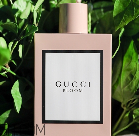 gucci bloom香水味道怎么樣？gucci bloom香水香調(diào)