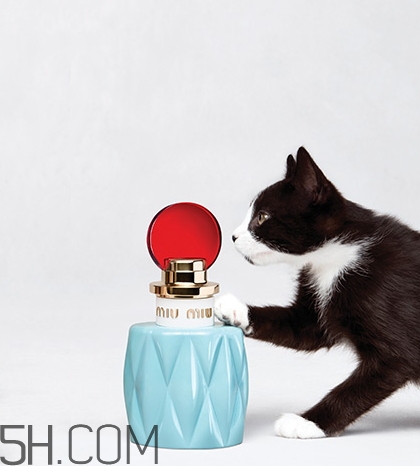 miumiu香水什么檔次？miumiu繆繆香水是哪國(guó)的