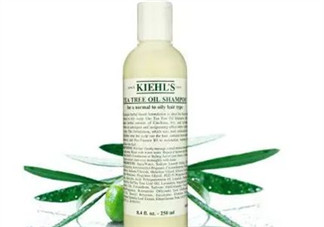 科顏氏氨基酸椰油洗發(fā)水怎么樣？科顏氏氨基酸椰油洗發(fā)水測評