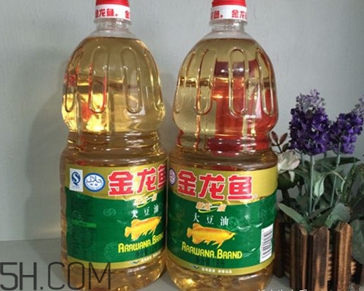 金龍魚是什么油？金龍魚是哪個國家的品牌