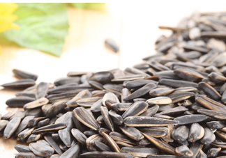 葵花籽可以生吃嗎？葵花籽可以多吃嗎