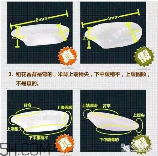 五常大米怎么辨別真假？五常大米和普通米的區(qū)別