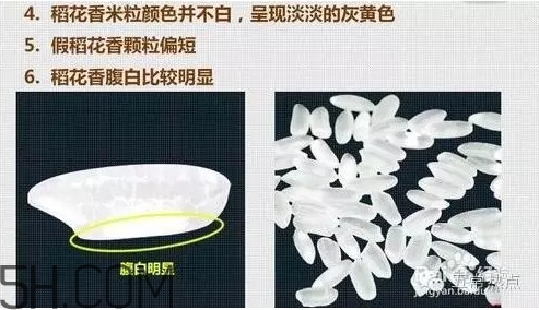 五常大米怎么辨別真假？五常大米和普通米的區(qū)別