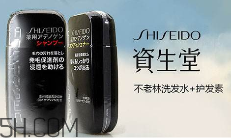 資生堂不老林洗發(fā)水好用嗎？資生堂不老林洗發(fā)水多少錢？