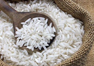 五常大米怎么辨別真假？五常大米和普通米的區(qū)別