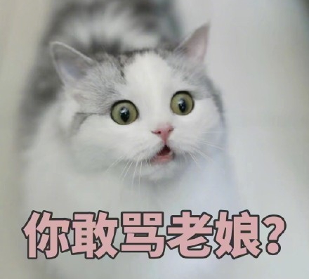 吸鴨表情包 吸鴨動圖 吸鴨表情包 吸鴨動圖