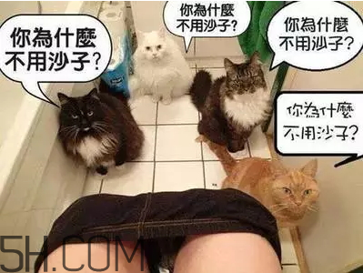 吸鴨的危害 吸鴨的好處 吸鴨的危害 吸鴨的好處