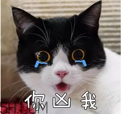 吸鴨的危害 吸鴨的好處 吸鴨的危害 吸鴨的好處