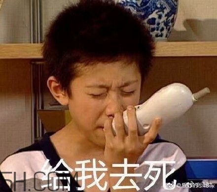 diediedie什么意思？diediedie表情包