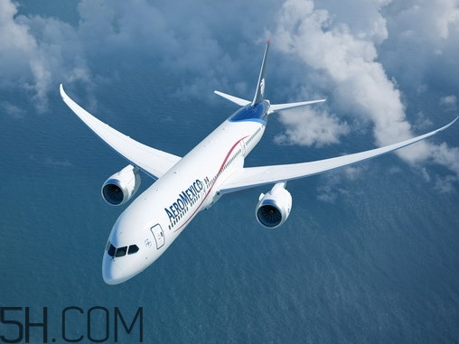 醬牛肉可以帶上飛機(jī)嗎？醬牛肉有點酸了怎么辦