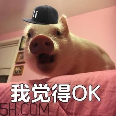 ojbk是什么意思？ojbk表情包