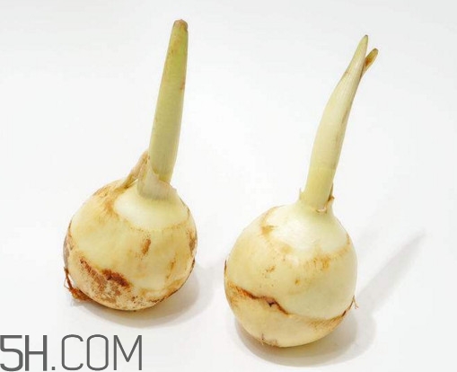 慈菇怎么洗？慈菇的小尾巴能吃嗎