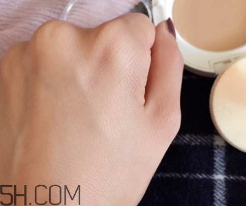 百雀羚粉餅怎么樣？百雀羚粉餅色號(hào)試色