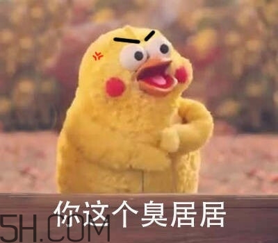 你個臭居居什么意思？你個臭居居表情包