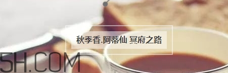 冬天適合什么香水？適合冬天的小眾香型香水推薦