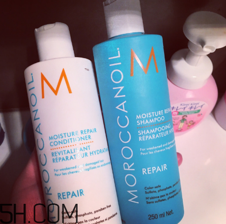 moroccanoil摩洛哥油洗發(fā)水怎么樣？摩洛哥油洗發(fā)水適合發(fā)質(zhì)