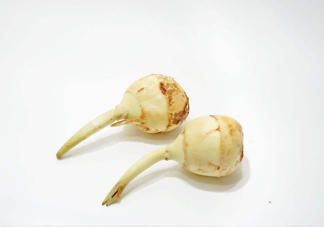 慈菇是發(fā)物嗎？慈菇是馬蹄嗎