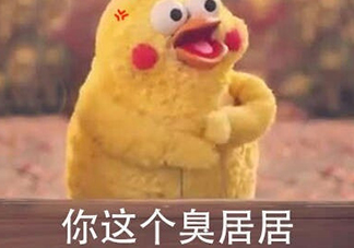 你個臭居居什么意思？你個臭居居表情包