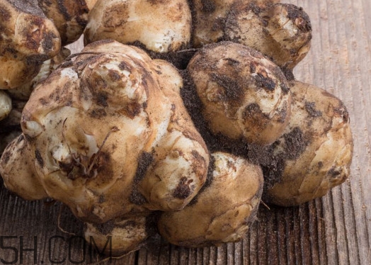 洋姜能治糖尿病嗎？洋姜什么時候收獲