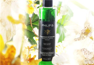 philip b薄荷鱷梨豐盈澄凈洗發(fā)水怎么樣？philip b洗發(fā)水測評