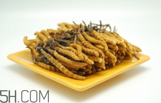 冬蟲(chóng)夏草有假的嗎？冬蟲(chóng)夏草不抗癌