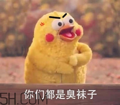 你們都是臭襪子什么意思？你們都是臭襪子表情包