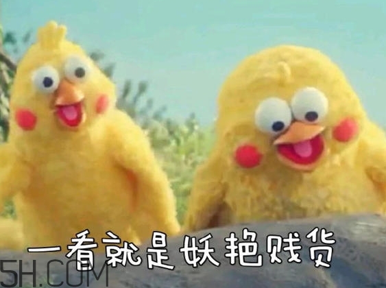 你們都是臭襪子什么意思？你們都是臭襪子表情包