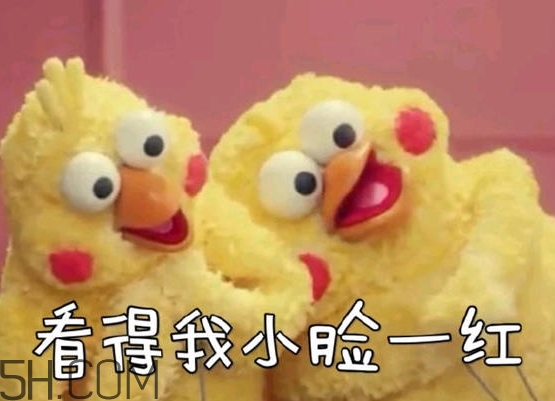 你們都是臭襪子什么意思？你們都是臭襪子表情包