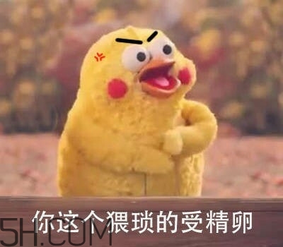 你這個(gè)猥瑣的受精卵是什么意思？你這個(gè)猥瑣的受精卵表情包