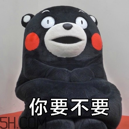 不給糖就搗蛋無水印表情包 萬圣節(jié)不給糖就搗蛋 不給糖就搗蛋無水印表情包 萬圣節(jié)不給糖就搗蛋