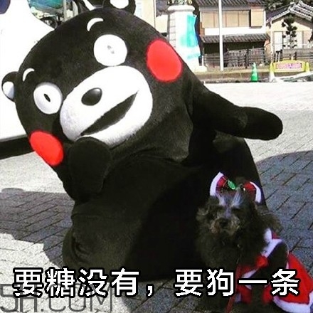 不給糖就搗蛋無水印表情包 萬圣節(jié)不給糖就搗蛋 不給糖就搗蛋無水印表情包 萬圣節(jié)不給糖就搗蛋